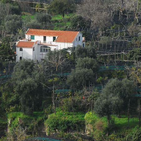 Azienda Agricola Veniero Piano di Sorrento Zewnętrze zdjęcie