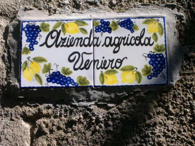 Azienda Agricola Veniero Piano di Sorrento Zewnętrze zdjęcie